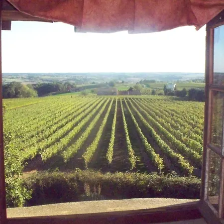 Le Tour De Vigne - Windmill In Neuffons Holiday home Le Puy
