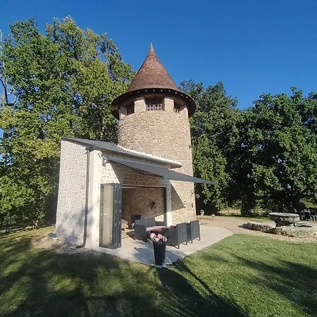 Le Tour De Vigne - Windmill In Neuffons Le Puy